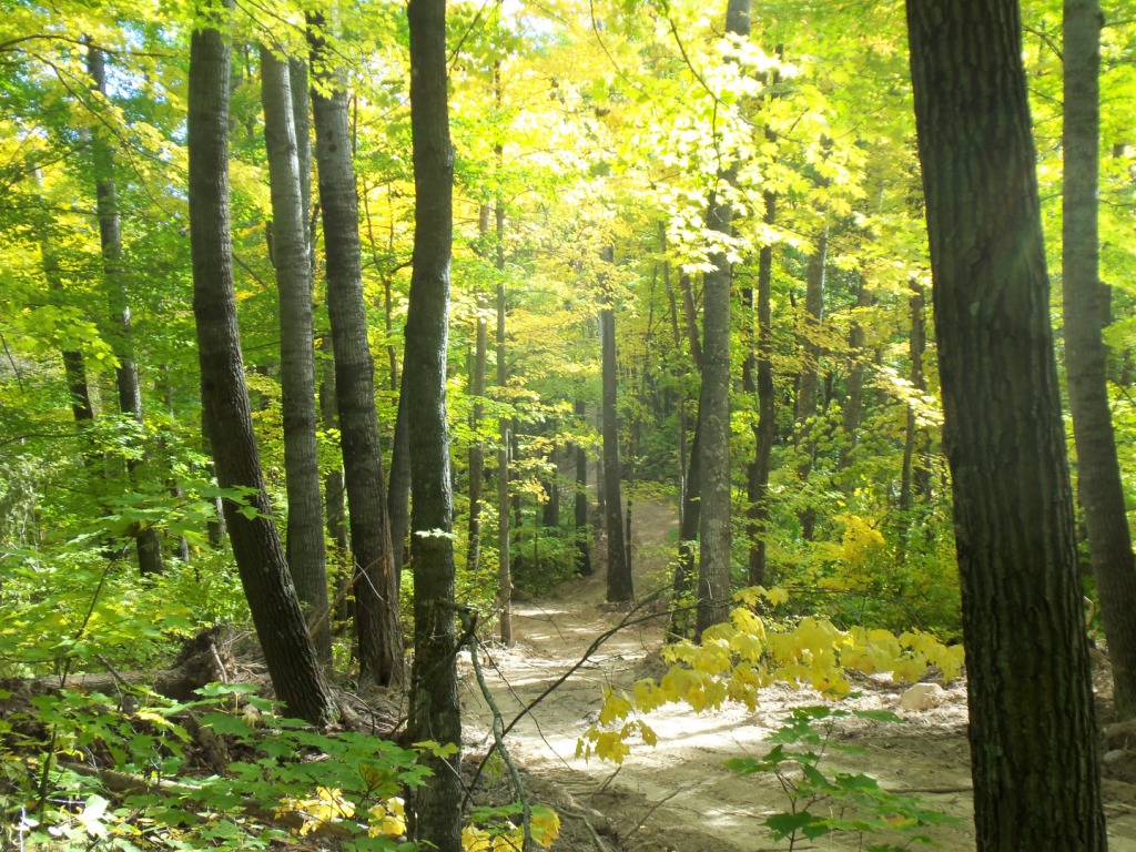 ATV Interactive Aitkin County, MN