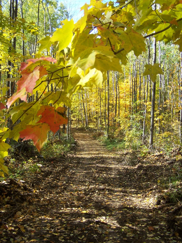 ATV Interactive Aitkin County, MN