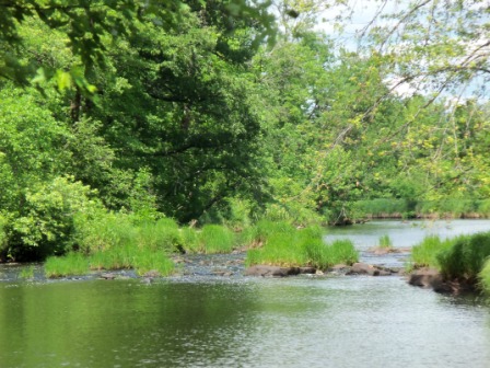 Snake River rippling rocks