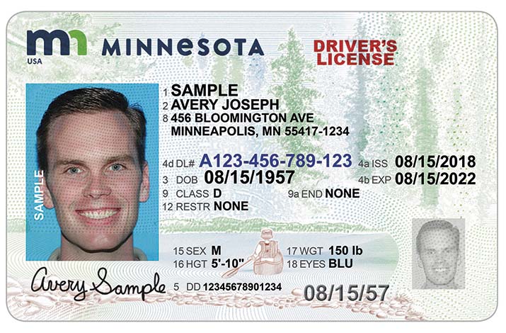 Minnesota Driver's License
